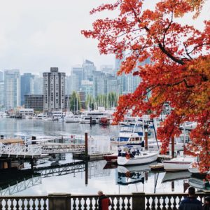 Fall in #vancouver ❤
